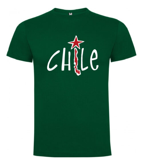 polera estampado fiestas patrias chile turismo