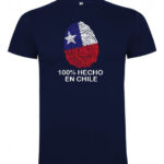 polera estampado fiestas patrias hecho en chile turismo 2 5