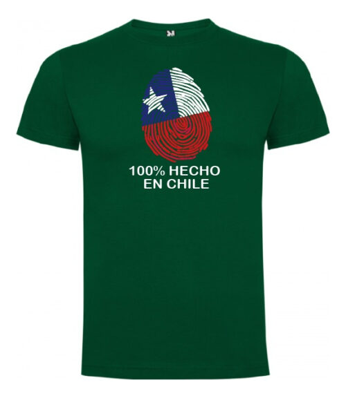 polera estampado fiestas patrias hecho en chile turismo 2