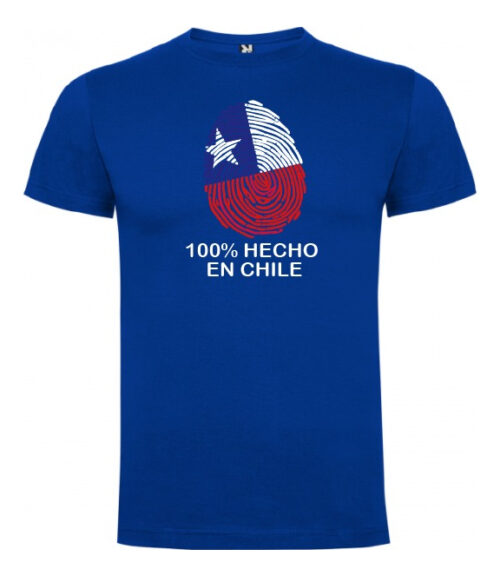 polera estampado fiestas patrias hecho en chile turismo 2 6