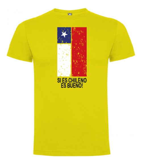 polera estampado fiestas patrias si es chileno turismo 3