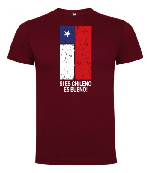 polera estampado fiestas patrias si es chileno turismo 3 bordo