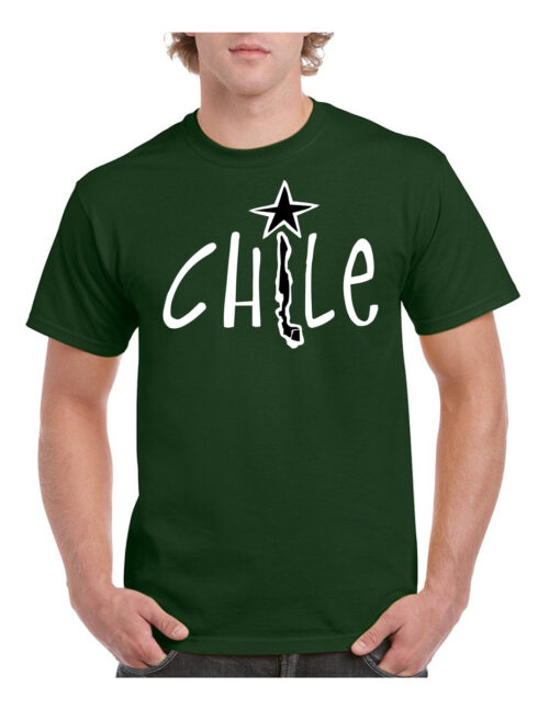 polera hombre estampado chile 1