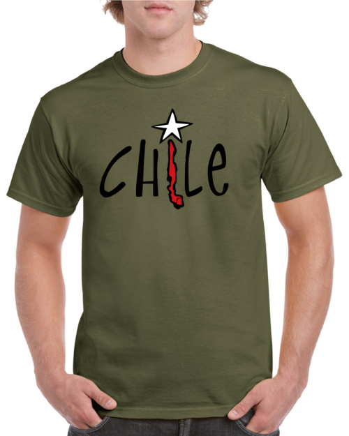 polera hombre estampado chile 2