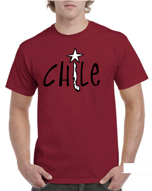 polera hombre estampado chile 4