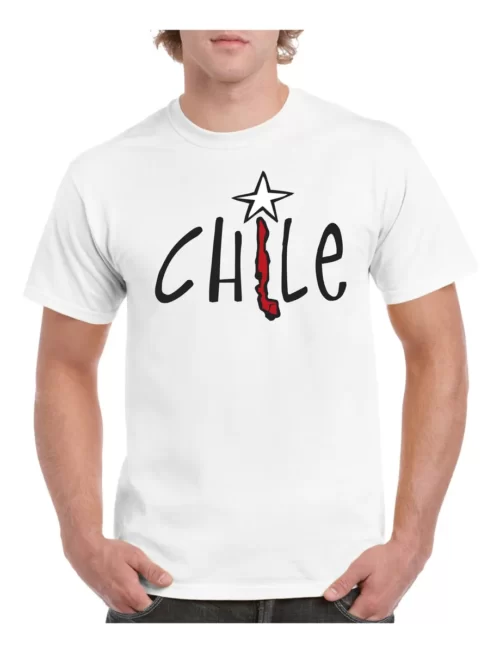 polera hombre estampado chile 4