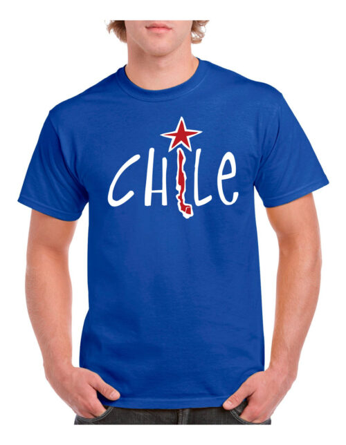 polera hombre estampado chile 5