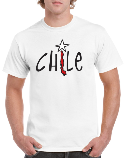 polera hombre estampado chile 6