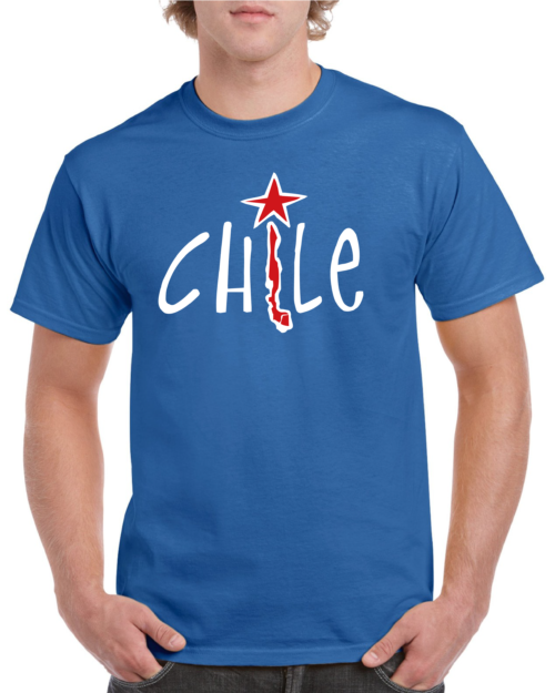 polera hombre estampado chile 7