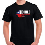 polera hombre estampado fiestas patrias indep day chile 2