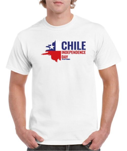 polera hombre estampado fiestas patrias indep day chile 4