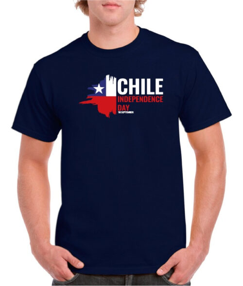 polera hombre estampado fiestas patrias indep day chile 5