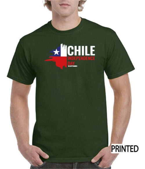 polera hombre estampado fiestas patrias indep day chile