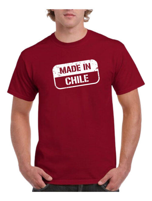 polera hombre estampado hecho en chile 3